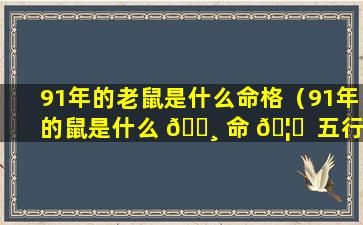 91年的老鼠是什么命格（91年的鼠是什么 🌸 命 🦉  五行属什么）